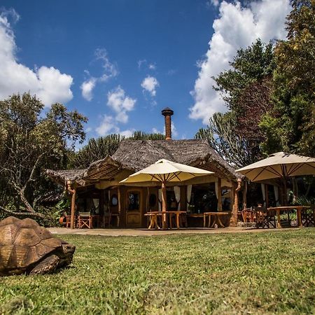 Chui Lodge Naivasha Eksteriør billede