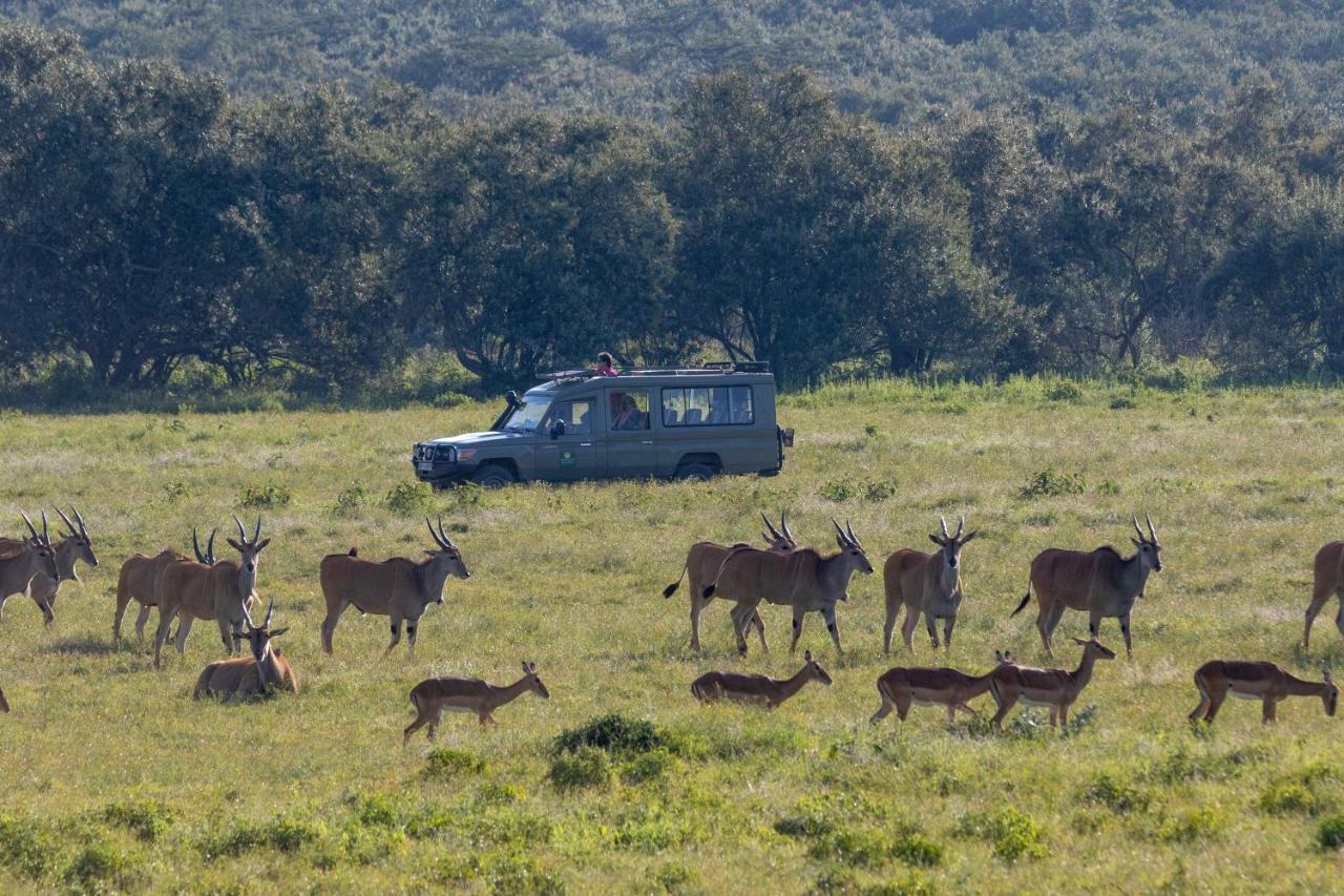 Chui Lodge Naivasha Eksteriør billede