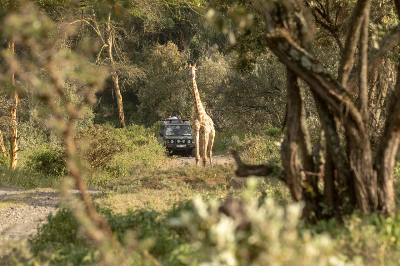 Chui Lodge Naivasha Eksteriør billede